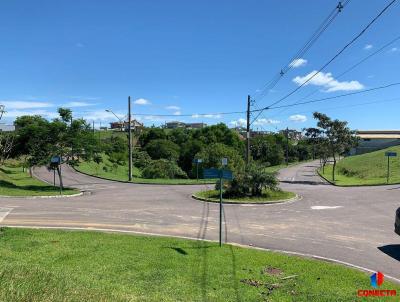 Terreno para Venda, em Vila Velha, bairro Santa Paula I