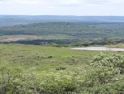 Fazenda para Venda, em Incio Martins, bairro .