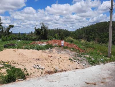 Terreno Urbano para Venda, em Umuarama, bairro Jardim Ibis