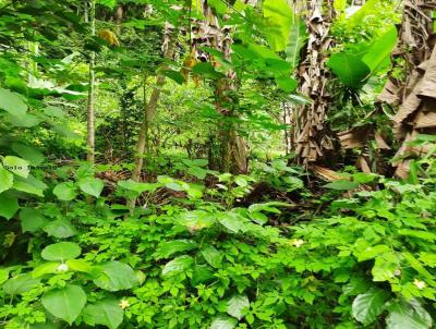 Terreno para Venda, em Niteri, bairro Serra Grande