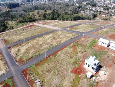 Terreno para Venda, em Tenente Portela, bairro Centro