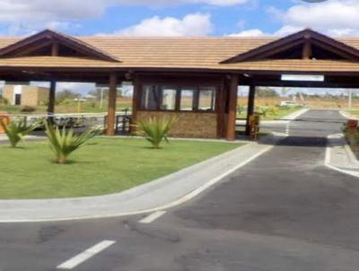 Terreno para Venda, em , bairro Novo Horizonte
