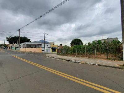 Terreno para Venda, em Campinas, bairro Jardim Nova Amrica