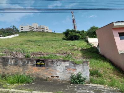 imagem-miniatura