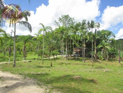 rea Rural para Venda, em Jacupiranga, bairro Morro Grande