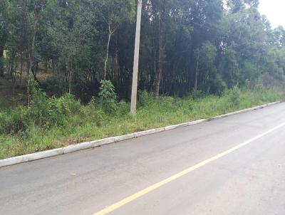 Terreno para Venda, em So Francisco de Paula, bairro Barragem do Salto