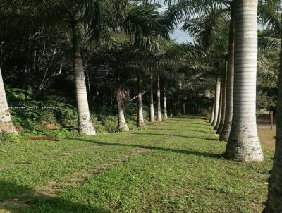 Stio / Chcara para Venda, em Mogi das Cruzes, bairro Sabauna, 6 dormitrios, 8 banheiros, 2 sutes, 50 vagas