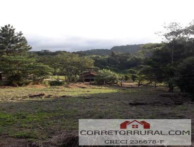 Terreno para Venda, em Piedade, bairro .