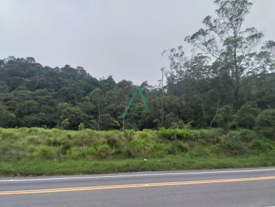 Terreno para Venda, em Ribeiro Pires, bairro Santa Luzia