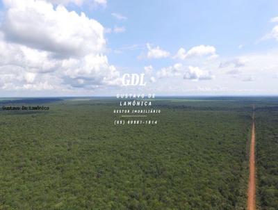 Fazenda para Venda, em Tabapor, bairro Centro-Norte
