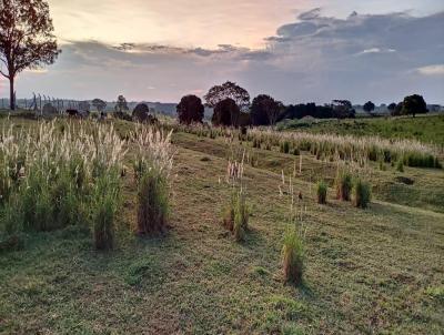 Chcara para Venda, em Narandiba, bairro rea rural