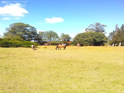 Terreno Rural para Venda, em Porto Alegre, bairro Restinga