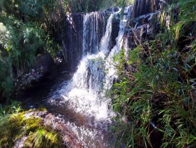 Fazenda para Venda, em Cambar do Sul, bairro Centro