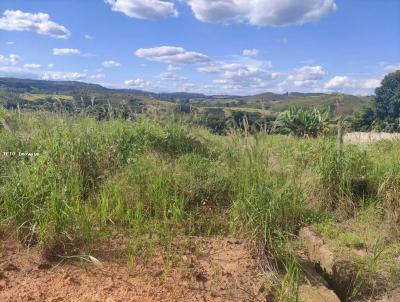 Terreno para Venda, em Coronel Xavier Chaves, bairro Chacreamento Vista Alegre