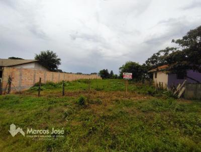 Terreno para Venda, em Irati, bairro Vila Raquel