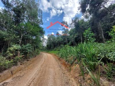 Stio para Venda, em Amparo, bairro Areia Branca