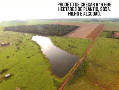 Fazenda para Venda, em Vrzea Grande, bairro Capo do Pequi