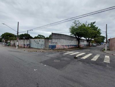 Terreno para Locao, em So Paulo, bairro Jardim Martinica, 97 vagas