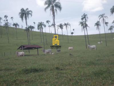 Fazenda para Venda, em , bairro Fazenda em Gois