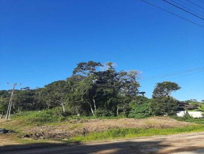 Terreno para Venda, em So Francisco do Sul, bairro Ubatuba - Acara