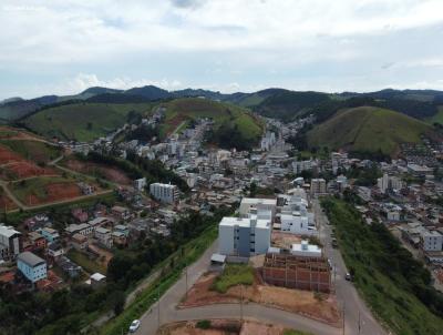 Lote para Venda, em Ervlia, bairro Mirante