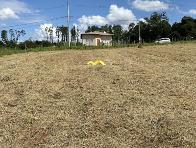 Terreno para Venda, em Iper, bairro SAPETUBA