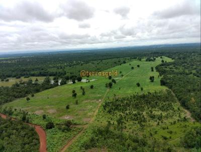 Fazenda para Venda, em Nossa Senhora do Livramento, bairro Vacaria