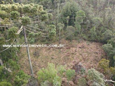 Terreno para Venda, em Campos do Jordo, bairro Recanto Araucrias