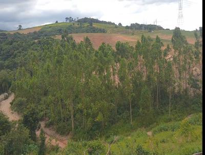 rea Rural para Venda, em Piedade, bairro Furnas