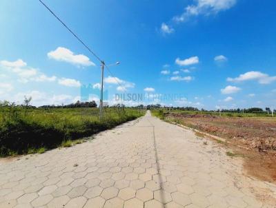 Lote para Venda, em Cricima, bairro So defende