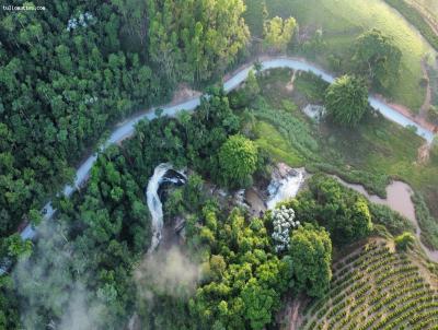 Stio para Venda, em Ervlia, bairro Zona rural