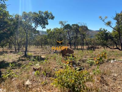 Lote para Venda, em Lagoa Santa, bairro Lagoa Manses