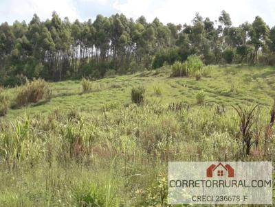 rea Rural para Venda, em Piedade, bairro Furnas