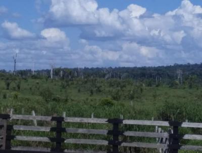 Terreno para Venda, em Santarm, bairro 