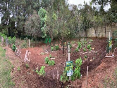 Terreno para Venda, em So Leopoldo, bairro Campestre