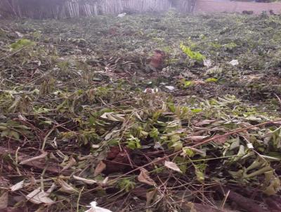 Terreno para Venda, em Belterra, bairro henry ford