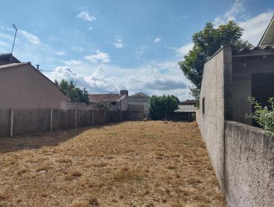 Terreno para Venda, em Porto, bairro Centro