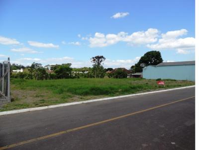 Terreno para Venda, em Pareci Novo, bairro Bairro Centro
