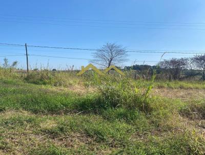 Terreno para Venda, em Ibina, bairro Verava