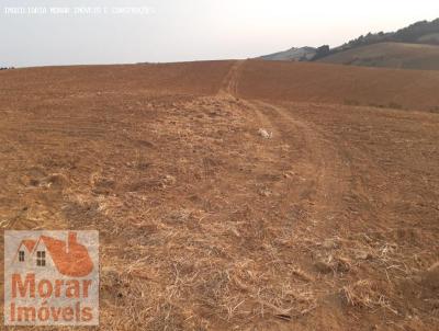 Fazenda para Venda, em Ipuina, bairro 000