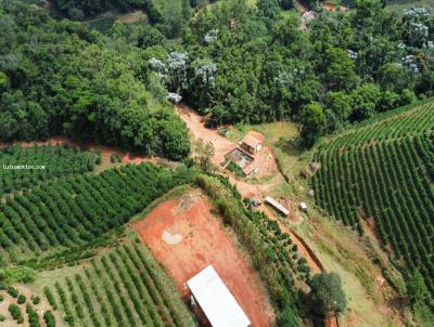 Stio para Venda, em Ervlia, bairro Zona rural