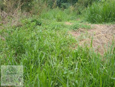 Terreno Rural para Venda, em Santa Isabel, bairro .