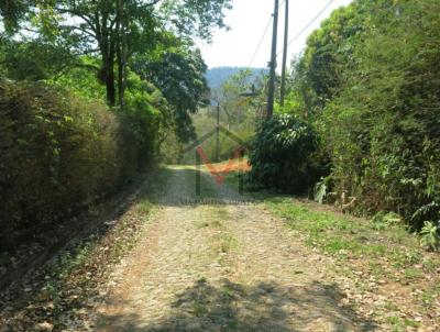 Terreno para Venda, em Juiz de Fora, bairro Floresta