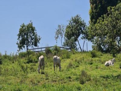 rea para Venda, em Saquarema, bairro Bacax