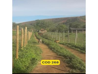 Chcara para Venda, em Frei Inocncio, bairro Zona Rural