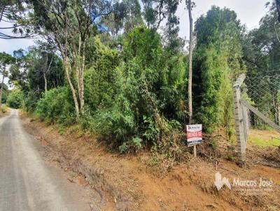 Terreno para Venda, em Irati, bairro Nhapindazal