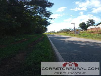 Terreno Comercial para Venda, em Ibina, bairro Paruru