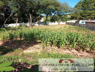 Terreno para Venda, em Ibina, bairro Aldeia nova, Paruru