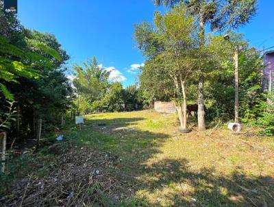 Terreno para Venda, em Parob, bairro Planalto