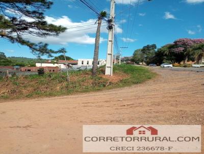 Terreno Comercial para Venda, em Ibina, bairro Paruru